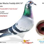 

1/2 sis Olympic Gladiator Jr and Wacko Freddy. Our best. 
Bred 1st place 400 mi. Big Andys 7min lead 2023. 1st place Pataya over 5000 birds. Bred 18th place AZ classic 350 miles with head winds. Bred 6th place hot spot AfrikaPro 2022. 15th place 205 miles 1262 YPM 1403 birds BAIOLR 2024.